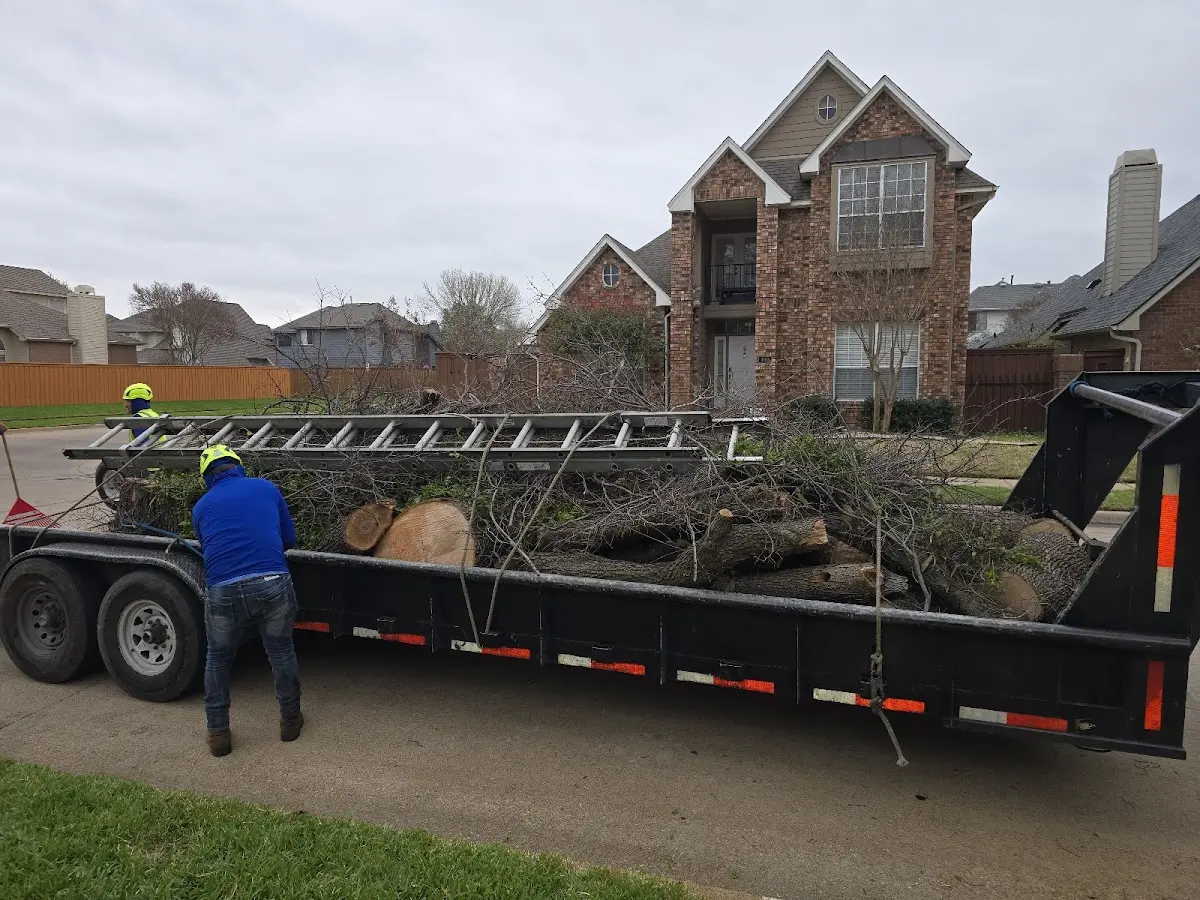 Expert Tree Fertilization with proper safety equipment in San Juan Bautista